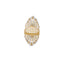 22K Multi-Tone Gold Shield Ring (4.2gm)