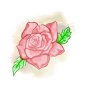 Rose Above