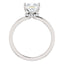 Classic Halo Diamond Engagement Ring W/ Pave Under Gallery - Virani Jewelers