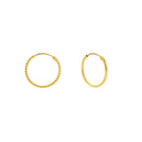 22K Yellow Gold Hammered Hoops, 1.7 Grams - Virani Jewelers | 



Petite 22K yellow gold hoops with a unique chiseled detail along the hoop, an ideal pair for ...