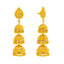 22K Yellow Gold Jhumki Earrings (30.8gm)