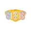 22K Multi-Tone Gold Ring (1.7 grams)