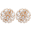 18K Rose Gold & 0.73 CT Diamond Earrings (5.64 grams)