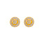 22K Yellow Gold CZ Stud Earrings (2,2 grams)