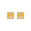 22K Yellow Gold CZ Stud Earrings (2.5 grams)