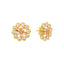 22K Multi-Tone Gold Necklace & Earring Set (25.8 grams)