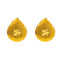 22K Yellow Gold Stud Earrings (2.6gm)