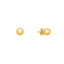22K Yellow Gold Stud Earrings (3gm)
