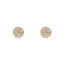 22K Yellow Gold & CZ Stud Earrings (4.6gm)