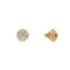 22K Yellow Gold & CZ Stud Earrings (4.6gm)
