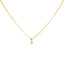 22K Yellow Gold & CZ Pendant Set (7.3gm)