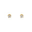 22K Yellow Gold & CZ Pendant Set (7.3gm)