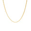 22K Yellow Gold Dotted Classic Chain - Virani Jewelers