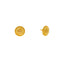 22K Yellow Gold Samaira Studs