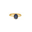 22K Yellow Gold & Sapphire Ring (2.6gm)