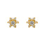 22K Gold & CZ Stone Star Stud Earrings (3.9gm)