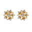 22K Gold & CZ Stone Stud Earrings (3.4gm)