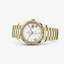 Rolex Day-Date 40 Watch for Men W/ 18K Yellow Gold - Virani Jewelers