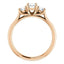 Three Stone Diamond Engagement Ring, Round Side Stone - Virani Jewelers