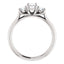Three Stone Diamond Engagement Ring, Round Side Stone - Virani Jewelers