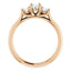 Three Stone Diamond Engagement Ring, Round Side Stone - Virani Jewelers