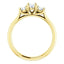 Three Stone Diamond Engagement Ring, Round Side Stone - Virani Jewelers