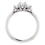 Three Stone Diamond Engagement Ring, Round Side Stone - Virani Jewelers