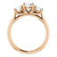 Three Stone Diamond Engagement Ring, Round Side Stone - Virani Jewelers