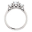Three Stone Diamond Engagement Ring, Round Side Stone - Virani Jewelers