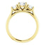 Three Stone Diamond Engagement Ring, Round Side Stone - Virani Jewelers