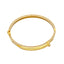 18KT Yellow Gold & CZ Bangle (15.8gm)